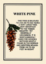 webpagefront48013015.jpg