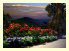 webpagefront48032020.jpg